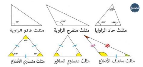 نوع المثلث في الشكل المجاور