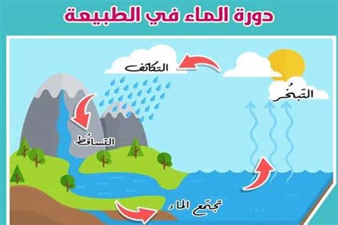 يسمى تحول بخار الماء إلى سائل في دورة الماء